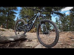How is This Even a Budget Mountain Bike?