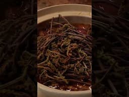 把长在山地上不起眼的蕨菜搬上餐桌会出现什么美味的碰撞呢，欢迎收看本周的新视频，一起感受蕨菜的美味吧！#shorts #cooking #fiddleheads #chinesefood  #滇西小哥