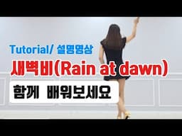 새벽비(Rain at dawn) |Tutorial|설명영상
