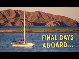 Our Last Sail... | Sailing Avocet