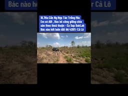 Anh chị quan tâm alo em 0819444555