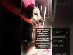 kindly share as much as possible. Ready for Adoption. #adoption