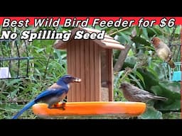 Top Hanging Bird Feeder Wild Birds Love ❤️ Easy DIY Fix for Inexpensive No Flying Seeds, Cedar Wood