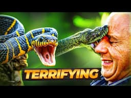 The Worst Snake Attacks of All Time | True Survival Stories & Deadly Encounters