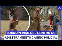 ¡Perritos! Joaquín visitó el grupo de Adiestramiento Canino de Carabineros | Acceso a lo nuestro