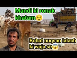 Last day mandi 2025 ka😔| Nuqsan karke wapsi jarhy😯