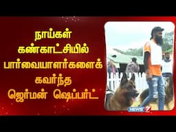 நாய்கள் கண்காட்சியில் பார்வையாளர்களைக் கவர்ந்த ஜெர்மன் ஷெப்பர்ட்| German Shepherd impresses visitors