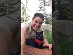 Proof that cats are better than dogs 😼🐈‍⬛🐶 #cat #catsofinstagram #bestfriend #catlover #adventure