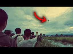 They're Not Human But They're Watching Us (3 Disturbing Cases)