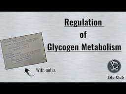 Regulation of Glycogen Metabolism || Glycogen metabolism || Carbohydrate metabolism || Biochemistry