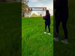 Parc de Dieppe #montreal #lifeincanada #citylife