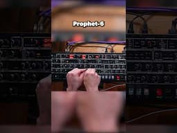 What's your favourite 6-voice synth? #synth #musicproducer #shorts