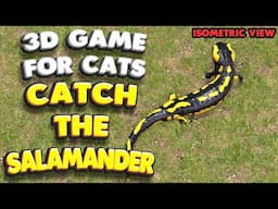 3D game for cats | Catch the salamander (isometric view) | 4K, 60 fps, stereo sound