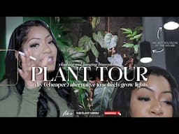 A houseplant tour ft. climbing and hanging plants. We're also making diy soltech inspired lights.
