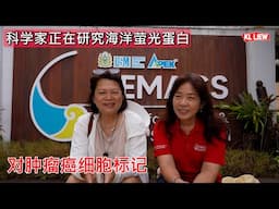 科学家正在研究海洋萤光蛋白，对肿瘤癌细胞标记，原来马来西亚也隐藏着权威性的国际高科技海洋研究所。