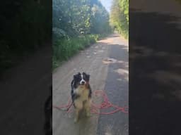 A beautiful day