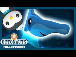 @Octonauts - 🦪 The Hammerhead Sharks 🦈 | Season 3 | Full Episodes | Cartoons for Kids