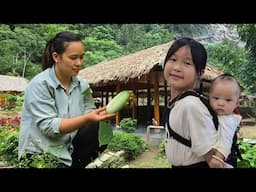 Cook a Pot Of Corn For The Pigs & Chickens To Enjoy - Harvest Cucumbers to sell at market.