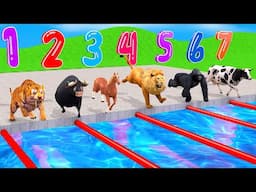 Long Slide Game With Elephant Gorilla Buffalo Tiger Animals Swimming Pool Race - 3d Animal Race Game