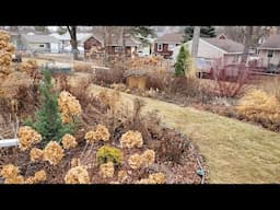 Mid-March Garden Tour and Signs of Life in the Garden