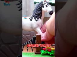 Washing Horses - Fun Horse Animal Toys