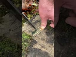 FIRE STARTER in 1 MINUTE 🔥  #survival  #lifehacks