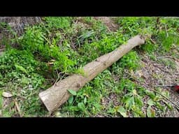 House Update - Cutting Down Trees To Reclaim My Backyard