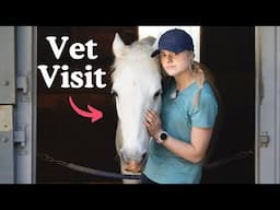 Vet Visit -Day in the Life - My Birthday - Riding