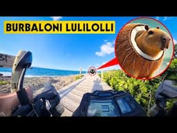 IF YOU SEE BURBALONI LULILOLI CAPIBARELLO COCOSINI WHILE DRIVING A MOTORCYCLE DO NOT APPROACH!