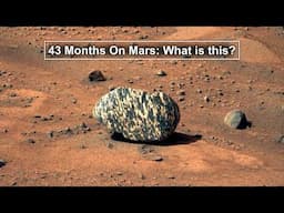 43 Months On Mars: Why is this Zebra Rock here?