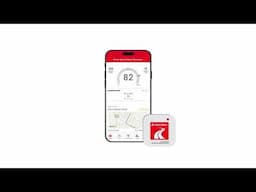 Drive Safe & Save Business® Overview