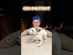 choose as a pet? 🐕😱