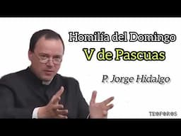 Homilía del Domingo V de Pascua - P. Jorge Hidalgo