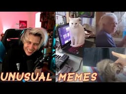 Rubius REACCIONA a UNUSUAL MEMES COMPILATION y COSITAS # 2