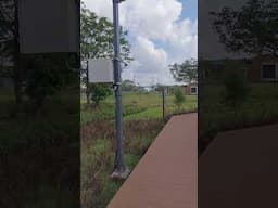 Chennai’s First Wetland Sponge Park | Edu-Archs