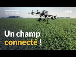 Robot, data et IA : l’agriculture innove pour faire face au changement climatique | REPORTAGE