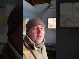 South African Nature guide films hair-raising moment while making morning coffee #Shorts Part 5