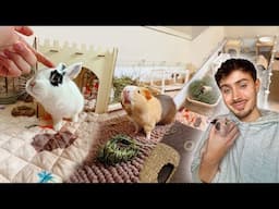Weekly Pet Vlog ✨ Animal Updates, Cleaning Cages, Packing Orders & More!