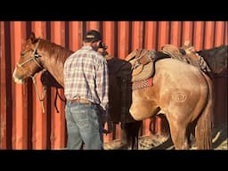 WE CALL THIS 66 COLT “BOOGER 66”