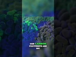 Ornamental Industry & Planet Earth Talk with Mark Vera from Seastainable Supply