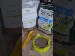 Alfalfa Sprouts DIY - Super Easy #diy #sprouts #alfalfa