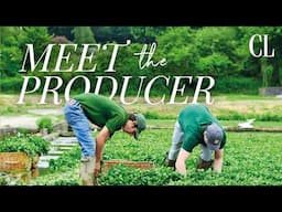 The quiet Hampshire town that goes wild for watercress | Country Living UK