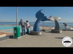 Sea Point Promenade Walk Song
