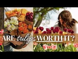 Are Tulips Actually Worth Growing?