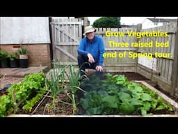 Grow Vegetables 3 raised bed end of Spring tour. Full to capacity 'Crazy' I couldn't stop myself.