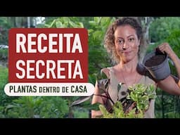 DESCOBRI que as PLANTAS dentro de CASA AMAM essa TERRA