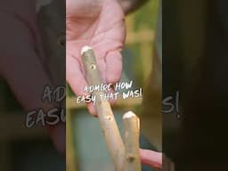 #naturalcrafts #woodworkingforbeginners