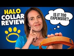 Halo Collar Review 2025 – Is the Halo 4 Actually Worth It?