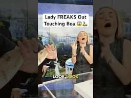 Lady FREAKS Out Touching Boa 😱🐍#shorts #boa