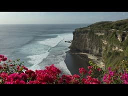 ULUWATU TEMPLE BALI NOW- MORE AGGRESSIVE MONKEYS IN THE AREA